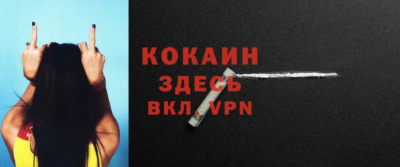 ссылка на мегу вход  Железногорск-Илимский  Cocaine VHQ  где продают  